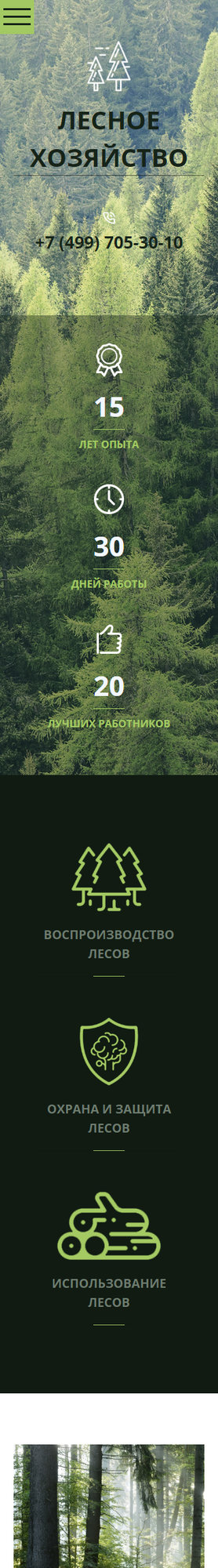 Готовый Сайт-Бизнес № 1899930 - Лесное хозяйство (Мобильная версия)