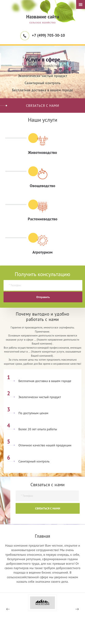 Мобильная версия дизайна № 77408