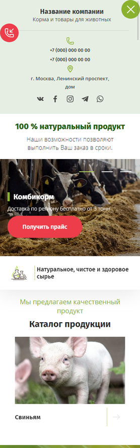 Готовый Сайт-Бизнес № 2823633 - Корма и продукты для животных (Мобильная версия)