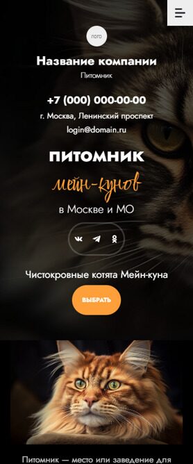 Мобильная версия дизайна № 92350