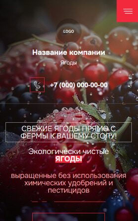 Готовый Сайт-Бизнес № 6054035 - Ягоды, варенье, мед (Мобильная версия)