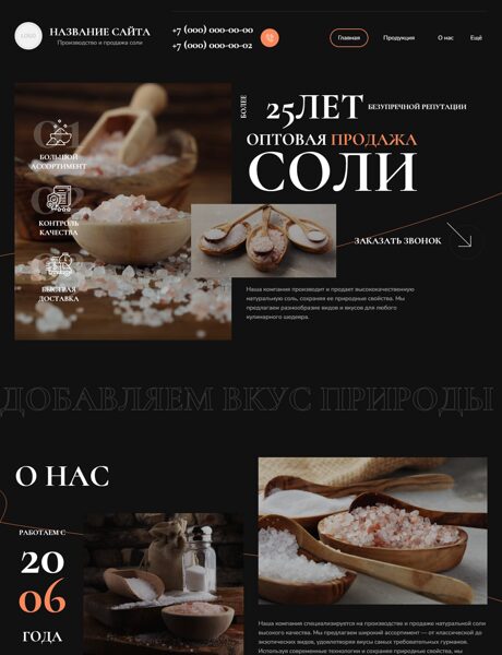 Готовый Сайт-Бизнес № 6574295 - Продажа соли (Превью)